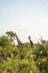 WAA FAM Trip - For Everyone - Lion Sands-96