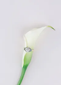 sheila_mraz-5602