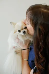 pet-folk-charlotte-commercial-photography6