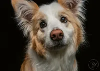 DSC04570
