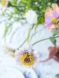 english ivy styled shoot final gallery (5 of 64)