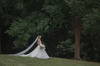 veritas-vineyards-bride-131