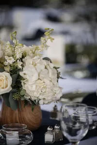 rainy-mountain-wedding-wilderness-lodge-wv-reception-details34