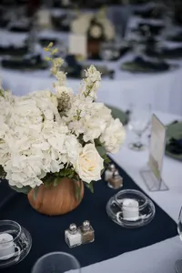 rainy-mountain-wedding-wilderness-lodge-wv-reception-details33