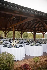rainy-mountain-wedding-wilderness-lodge-wv-reception-details32