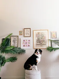 kathleen-designer-behind-sister-trees-studio-portraits-with-art-and-textures-7-2