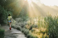 person-walking-on-wooden-pathway-between-green-grass-9052929