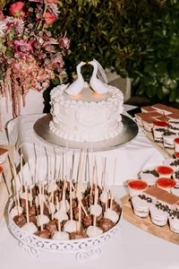 Kami_Kyle_Midalidare_Estate_Wedding_Bulgaria_Bare_Wild_16