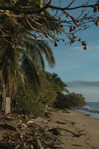 capturedbyjo-289