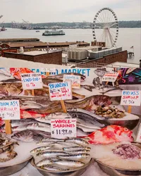 seattle-7