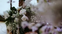 IMG_0986