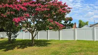 A tall white vinyl privacy fence securing a residential backyard behind a blooming pink crepe myrtle tree in the Baltimore Metro area.