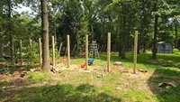 Freshly set, heavy-duty wooden posts perfectly aligned and ready for framing during a custom wood fence build in a wooded Baltimore region backyard.