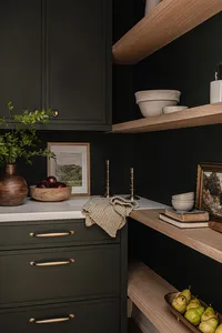 SparrowlaneInteriorsHalsteadKitchenBath-62 (1)
