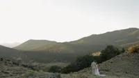 long shot