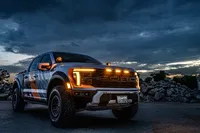 Raptor-1693