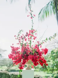 StellaYangPhotoHawaiiKualoarancheditorial125