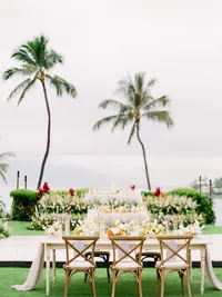 StellaYangPhotographyS&GMauiFourseasonswedding64