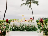 StellaYangPhotographyS&GMauiFourseasonswedding154