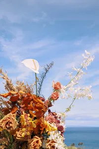 0F4A8414