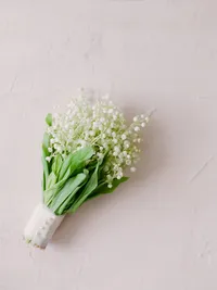 StellaYangPhotographyS&GMauiFourseasonswedding7
