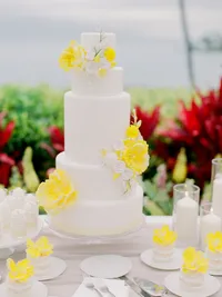 StellaYangPhotographyS&GMauiFourseasonswedding29