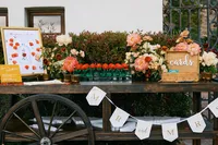 Hummingbird-nest-wedding--64