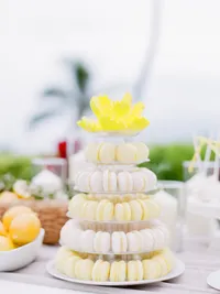 StellaYangPhotographyS&GMauiFourseasonswedding88