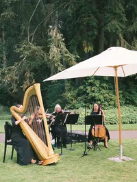 Wedding99