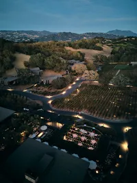 Y+H82