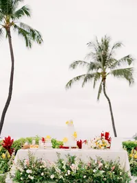 StellaYangPhotographyS&GMauiFourseasonswedding197