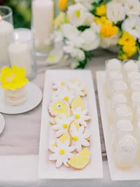 StellaYangPhotographyS&GMauiFourseasonswedding30