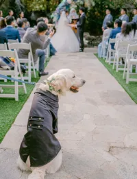 HARRYPOTTERWEDDING-897