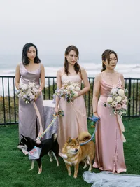 QiqiZhiZheng-Jen-Huang-Photo-442-_JEN3332