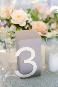STEPHANIEANDTONYWEDDING-711