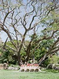 StellaYangPhotoHawaiiKualoarancheditorial110