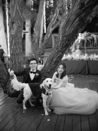 HARRYPOTTERWEDDING-741