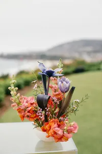 laguna ritz84