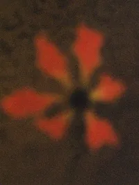 000044 3