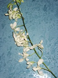 000040 2