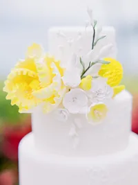 StellaYangPhotographyS&GMauiFourseasonswedding92