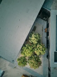 Y+H40