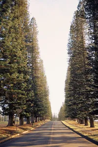 0F4A6681