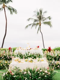 StellaYangPhotographyS&GMauiFourseasonswedding155
