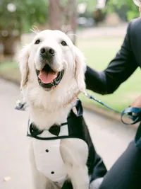 HARRYPOTTERWEDDING-237