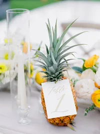 StellaYangPhotographyS&GMauiFourseasonswedding43