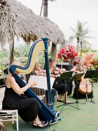 StellaYangPhotographyS&GMauiFourseasonswedding188