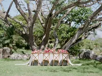 StellaYangPhotoHawaiiKualoarancheditorial109