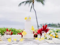 StellaYangPhotographyS&GMauiFourseasonswedding93