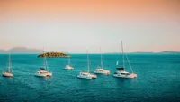 Girlboss Designer Travel Showit Website Template-100
